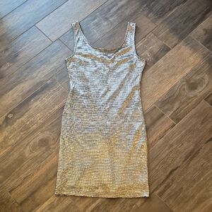 S/M Soprano Shiny Silver Sleeveless Fitted Lined Dress Back Zipper